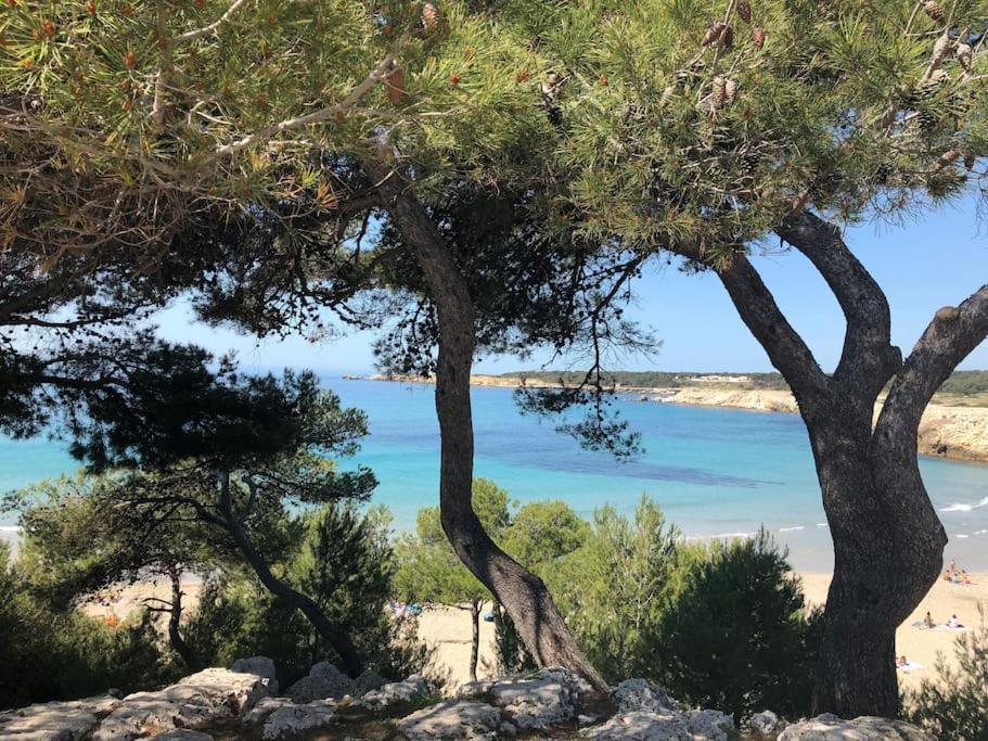 Mazet Provencal Au Coeur Des Alpilles La Reverie Maussane les Alpilles Exterior foto