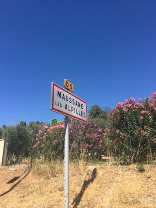 Mazet Provencal Au Coeur Des Alpilles La Reverie Maussane les Alpilles Exterior foto