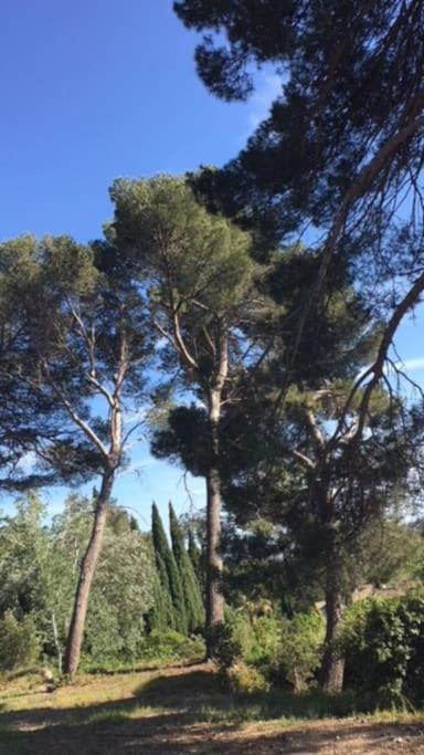 Mazet Provencal Au Coeur Des Alpilles La Reverie Maussane les Alpilles Exterior foto